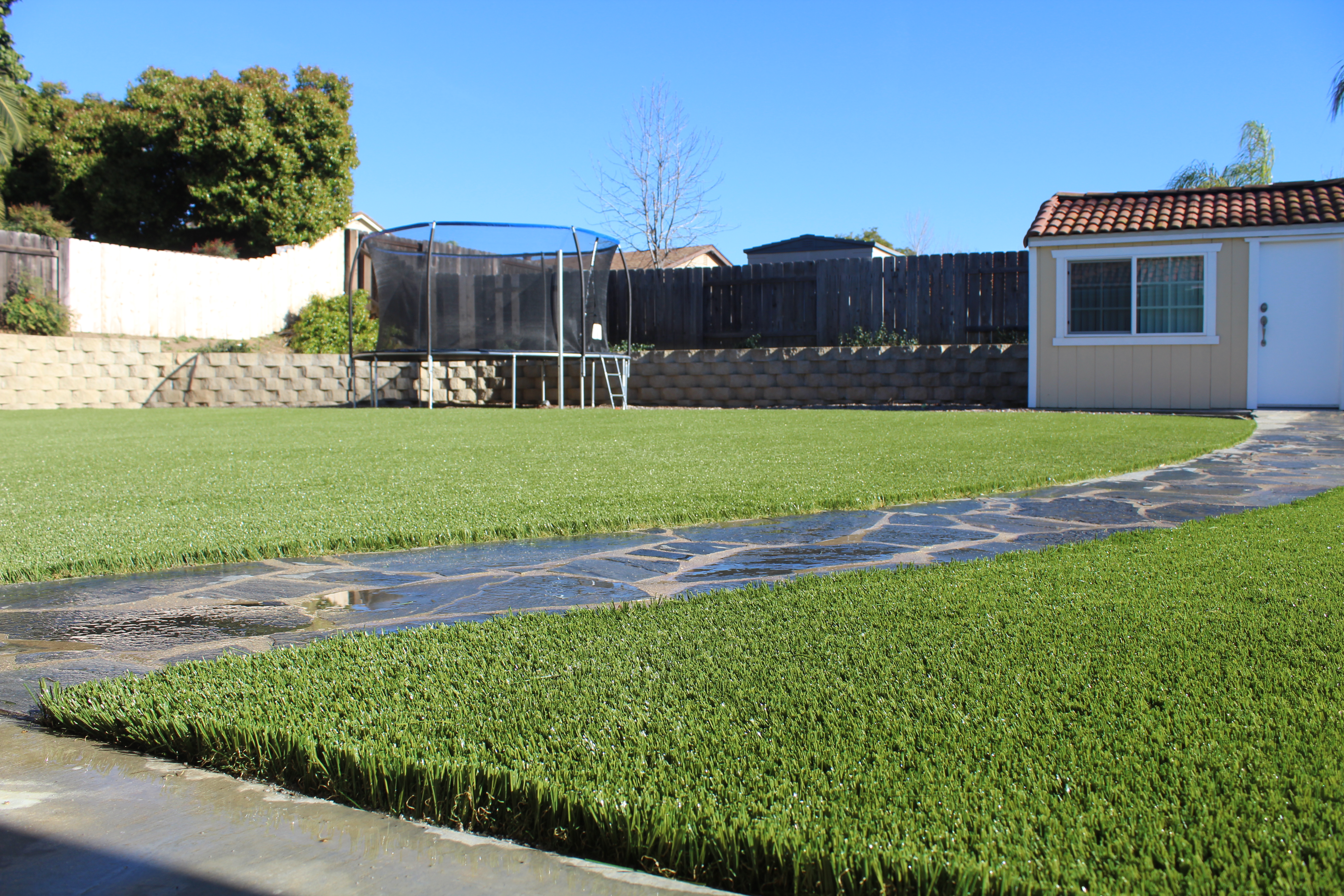Synthetic Lawn